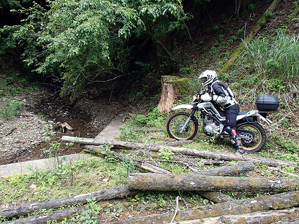 コンクリの段差を飛び越え